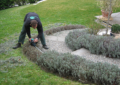 Gartenunterhalt Basel